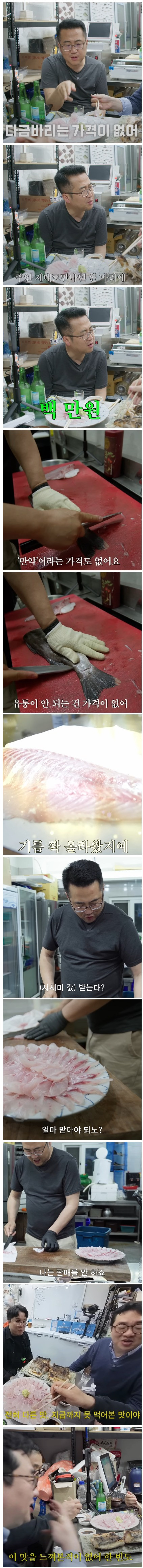 너무 희귀해서 그냥 부르는게 값이라는 존맛 생선