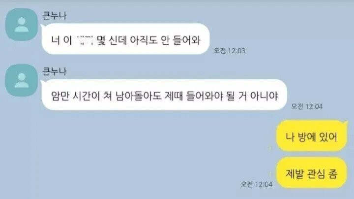 2% 부족한 친남매 카톡