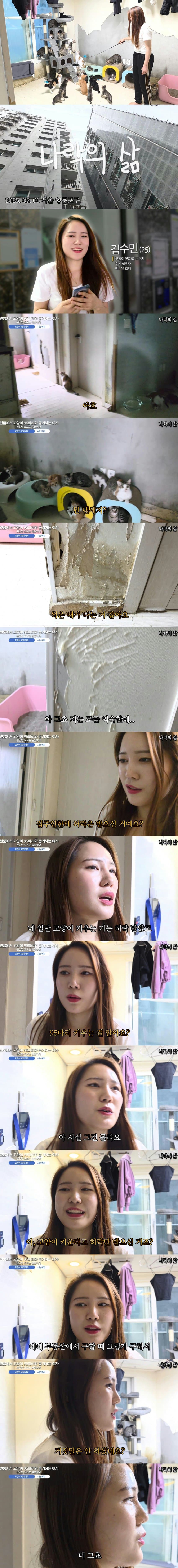 시한폭탄.. 부동산 호러스토리