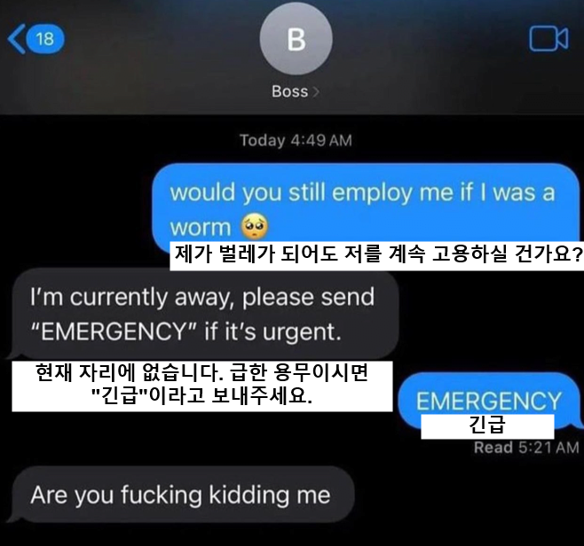 새벽 4시에 상사에게 문자보내기