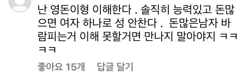 남편 불륜 한거 맞다고 댓글 단 황정음